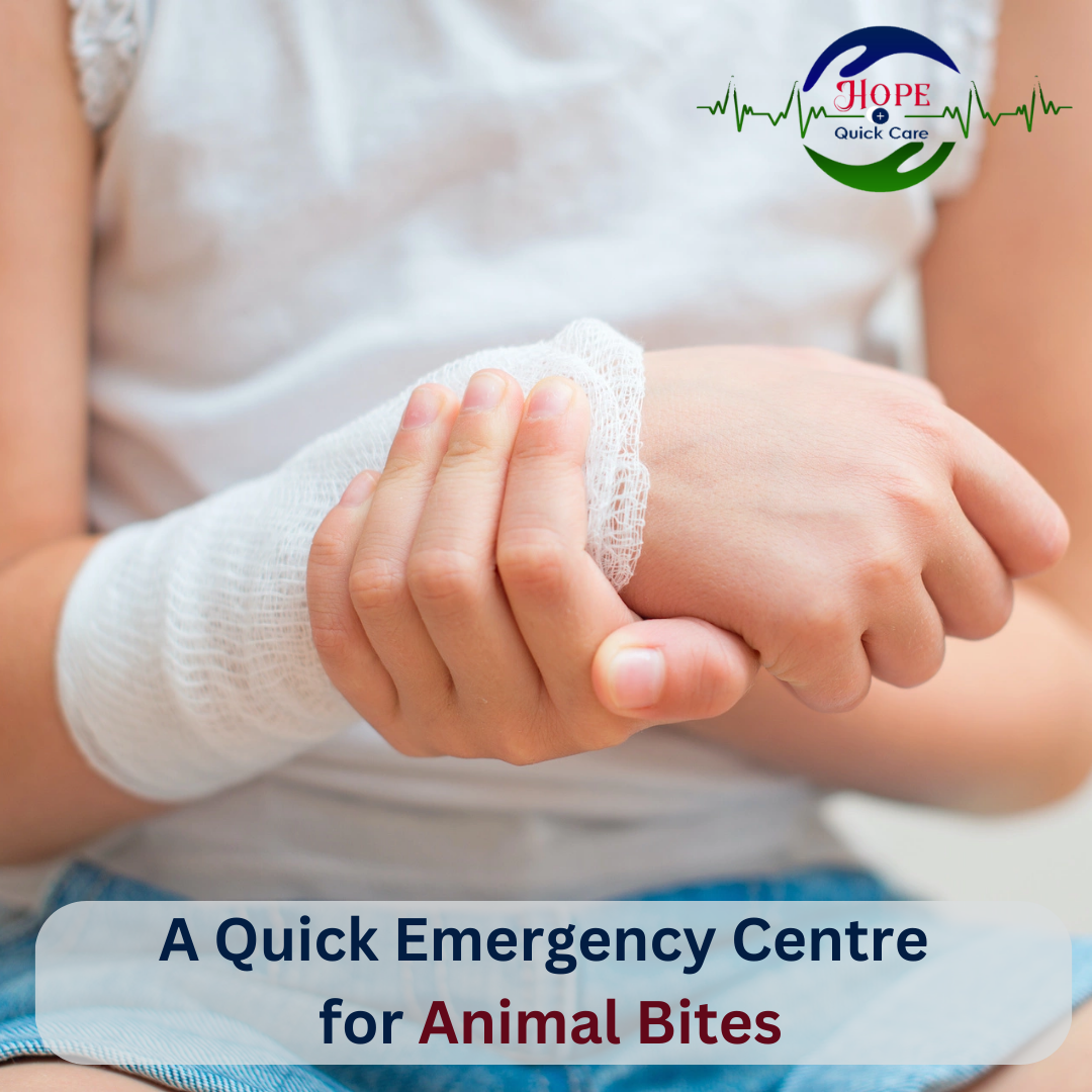 A Quick Emergency Centre for Animal Bites
