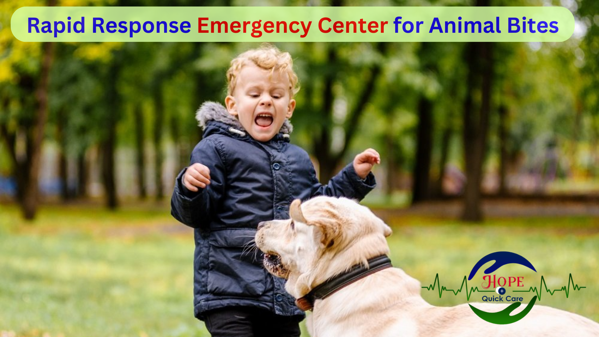 Rapid Response Emergency Center for Animal Bites
