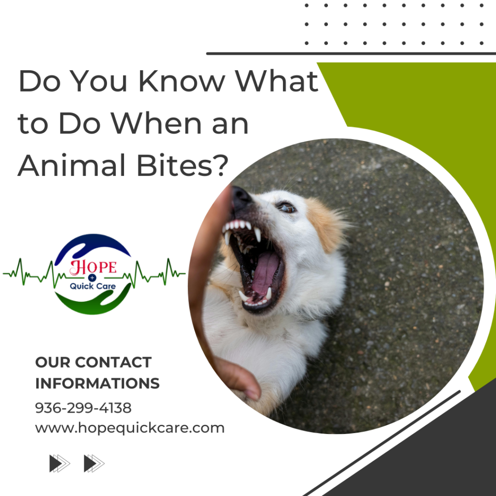 Animal Bites