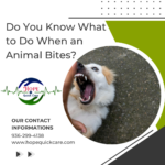 Animal Bites
